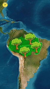 8.8K views · 350 reactions | Amazon Forest  #Foryou #amazonforest #jungle #forest #map #amazon #viral #facts #reelsinsta #reel #trendingreels #viralreels | Knowledge facts | Facebook