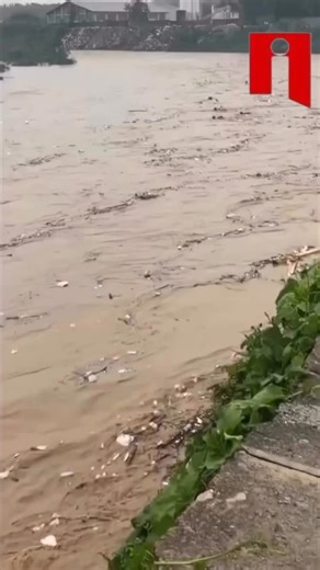 Tres adolescentes fueron grabados mientras nadaban en el río Ozama, en Santo Domingo, pese a la fuerte corriente y el alto nivel del agua. En el video se observa cómo dos adultos miran la escena sin intervenir, mientras los jóvenes se exponen a un grave peligro. Autoridades llaman a la conciencia y advierten que este tipo de acciones puede tener consecuencias fatales. Amplia en www.informaterd.com #informaterd #periodicodelaveracidad | Jose Martin Soliman Castillo