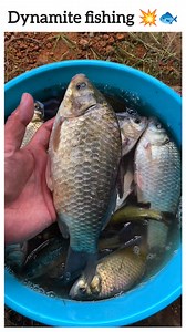 1.4M views · 10K reactions | Dynamite fishing  wait for the end  | Rohan | Facebook