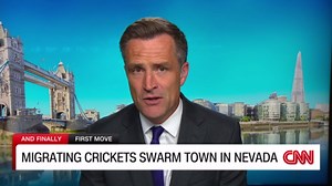 Migrating crickets swarm town in Nevada