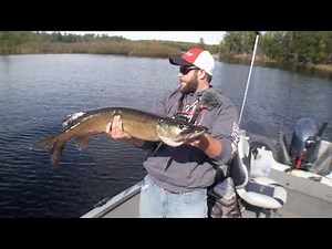 HAYWARD WISCONSIN MUSKY