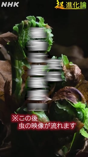 【超進化論】驚き！植物は超敏感だった | NHKスペシャル | NHK | #shorts