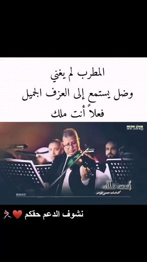 Live Concert Highlights Featuring Orchestra Musicians