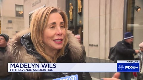 Fifth Avenue in NYC to be transformed for the holidays