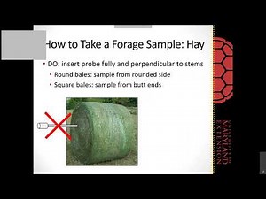 Forage Sampling and Forage Analysis Interpretation