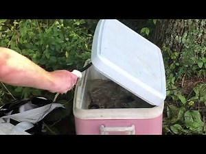 found dead body in a cooler at a lake