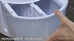 Watch Comfort Zone Max Comfort Evaporative Air Cooler, Fan, and Humidifier with Remote Control on Amazon Live