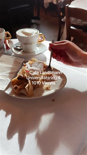 Experience Vienna's Melodic Charm at Café Landtmann