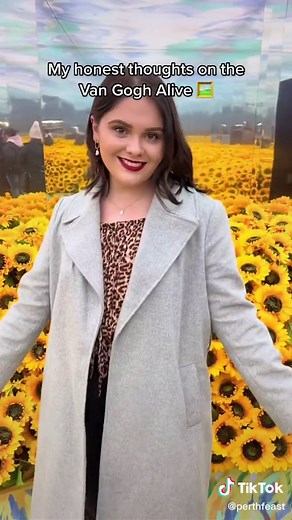 Improving the Van Gogh Alive Exhibition Experience in Perth