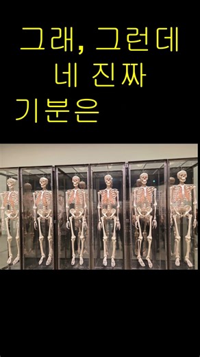 현대 미술의 거장, 데이미언 허스트: 우리는 왜 '죽음'을 감상하는가? 국립현대미술관 전시 : 진실은 없어 그러나 모든 것은 가능하지 #미술 #국립현대미술관 #신의사랑을위하여