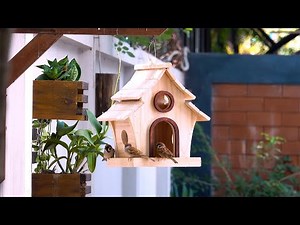 CREATE Your Own Simple Beautiful SOLID WOOD Bird Feeder At Home!