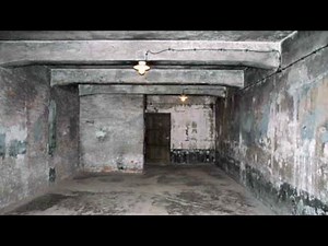 Nazi Gas Chambers