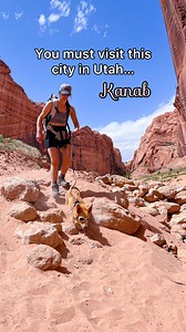 📍 Kanab, Utah We spent a week in Kanab including volunteering at @bestfriendsanimalsociety which is amazing! With so many beautiful National Parks nearby and so many other must see areas, this is a great home base to explore all around. . . #kanab #kanabutah #utahisrad #travelcouple #utahdogfriendly | Templeton Travels