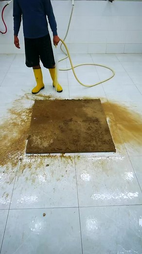 Disgusting carpet transformation #satisfying #asmr #carpetcleaning #soclean #oddlysatisfying #top