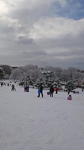 Kids Sliding Down the Hill on Sledges After the Snowfall #snow #kidsvideo #kids