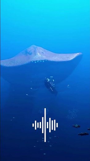 Top 5 Scariest Ocean Sounds In The World