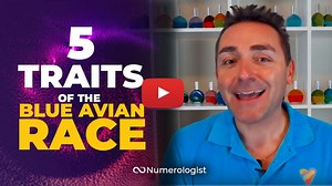 Blue Avians: Ancient Beings & Avian Starseed Signs