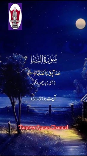 Surah An-Naba Full Beautiful Recitation#Emotional Quran Tilawat#Tamoor Quran Channel