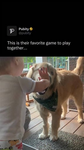 Pubity on Instagram: "🐶👶 Cutest matchup ever. Watch as this playful puppy and baby share some adorable ‘boop’ moments through the screen door! Pure joy and playful mischief. Bridget Finnerty via ViralHog"