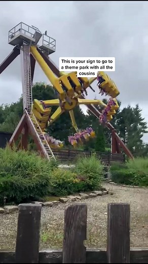 Ultimate Fun at the Amusement Park with Cousins