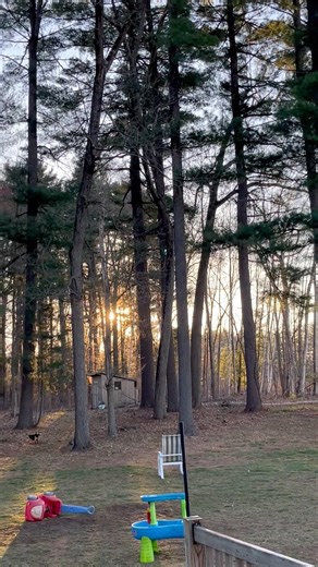 Dead lift today. 2 inch axle bar 265 for three. Needed a better pace and took too long reposition￼