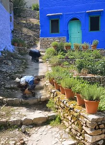 Old Fashioned to Open Concept — Wall Knockdown Reveal 💥 #openconcept #livingroomrenovation #homemakeover #viral | Dreamy Houses