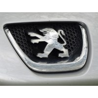 🥇 5 Modelle, 1 klarer Sieger: Peugeot iOn Test | rtl.de Vergleich