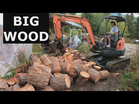 Big Firewood processing using Mini Excavator and Wood Splitter.