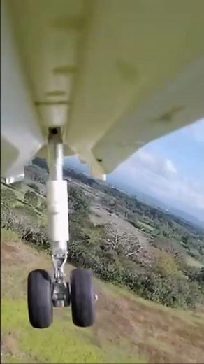 Freewing 64mm F-14 v2