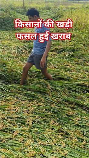 The Devastating Power of Cyclonic Rain