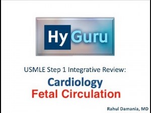 HyGuru USMLE Step 1: Cardiology | Fetal Circulation