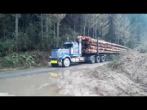 Logging truck in the New Zealand Forest 2020