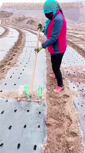 Seed Tech: The Genius of Bottle-Based Planting Systems