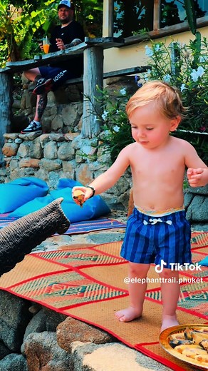 elephanttrail.phuket บน TikTok