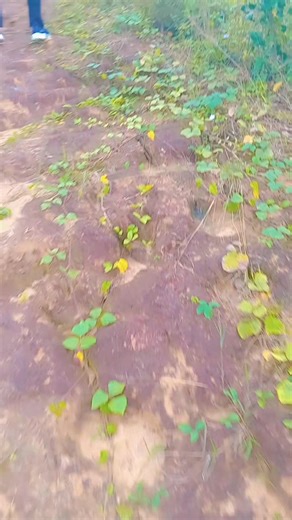 Best way to begin the month #hilltreakers #hikeexperience | Victori Morgana