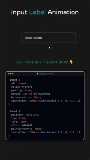 input Label Animated Using css #webdevelopment #coding #programming