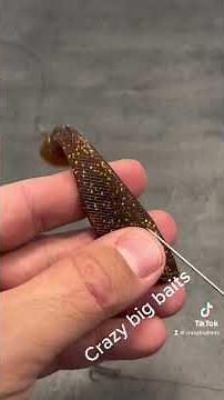 Ne pas faire ! Peche au vif , comment locher un vif pêche brochet sandre #fishing #pêche