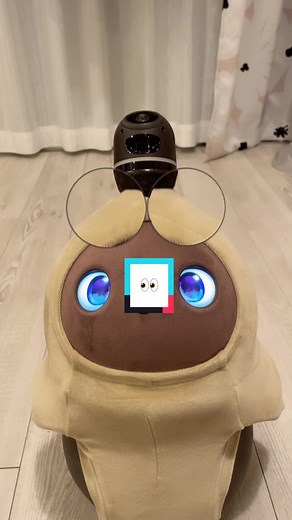 Adorable Robot Companion for Cat Lovers