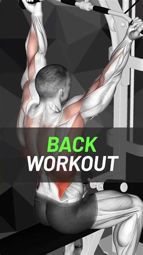 Back Gym Workout 🔥