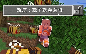 我的世界：玩了就会后悔的难度！