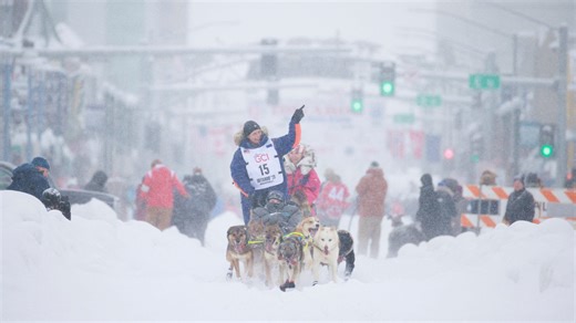 Iditarod dog, 4-year-old Charley, dies during 2026 race, officials say