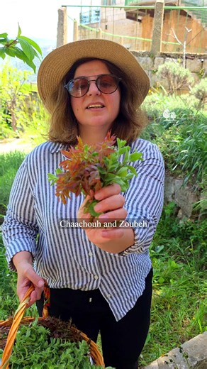 Authentic Chaachouh Salad Recipe from Douma