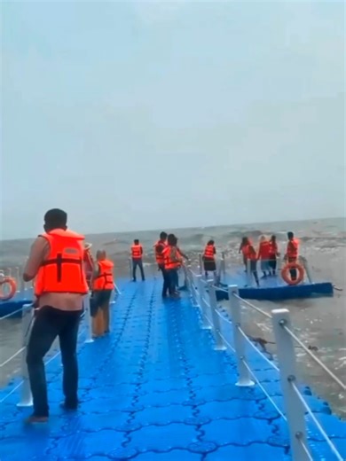 Exploring Sea Life: A Sailor's Adventure