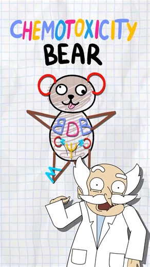 Study Smarter with MedSchoolBro on Instagram: "Never forget the Chemotoxicity Bear again 🧸 💊 🫁 Bleomycin = Pulmonary fibrosis 🫀 Doxorubicin = Cardiotoxicity 🚽 Cyclophosphamide = Hemorrhagic cystitis (give MESNA!) 🦴 VinCRISTine/BLASTine = Neuropathy & Myelosuppression 🩸 M’s = Myelosuppression + Nephrotoxicity 🔊 Cisplatin = Oto- & nephrotoxicity #drhavicandbrody #medstudent #medschool #usmle #usmlestep1 #chemotoxicity #pharmacology"