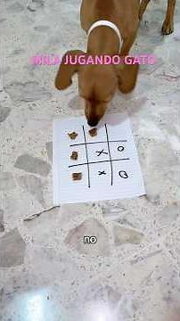 Movie night with Mila🐶🍿#seekee #ia #ad