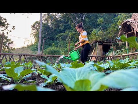her daily life asia builds a bamboo farm house