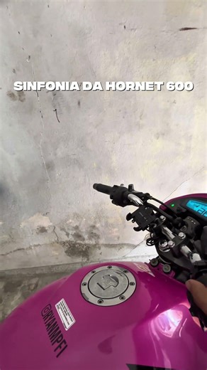 Sinfonia da HORNET 600 #moto