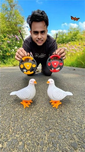 AMR 2 Ta Birds Remote Control Kabutar Unboxing Dekho 😜