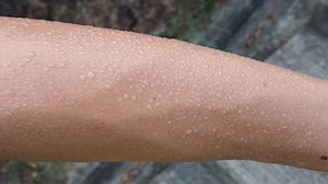 Bacteria facts that might make you feel dirty