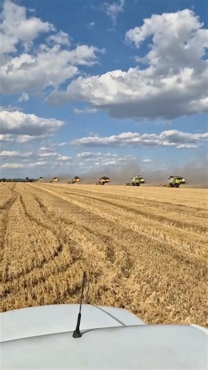 The Harvest Convoy🌾🔥 #farming #agriculture #harvest #combine